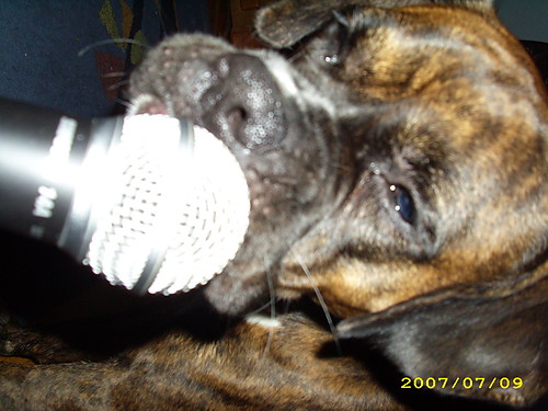 PSIE RADIO!!!