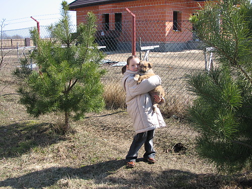love animal