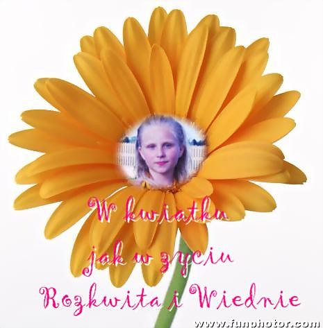 Ja i nikt