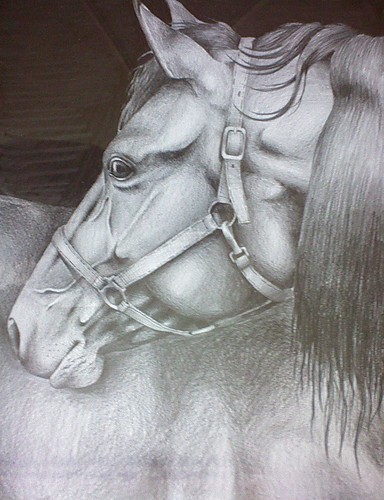 portret
