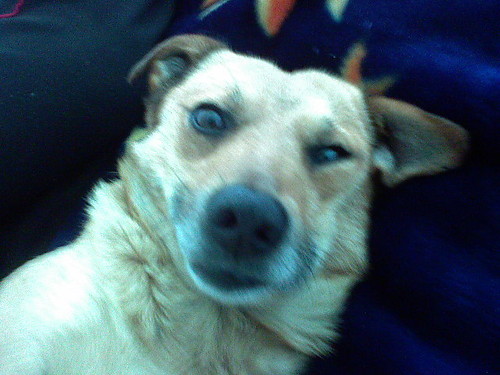 Piku. ^^