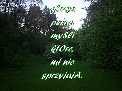 Wpis marzyciielka