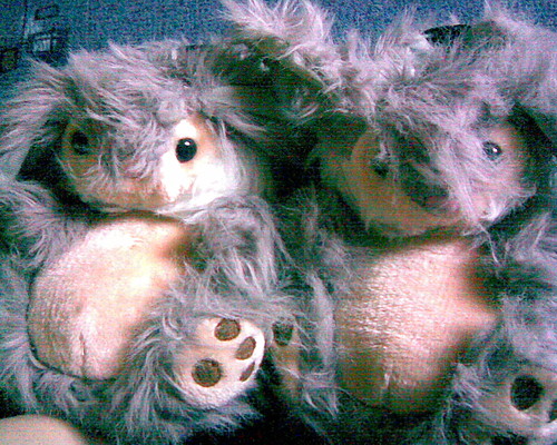 pixie&dixie