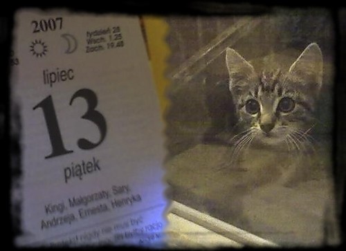 Wpis anka14lbn