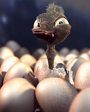 Kaczorek 