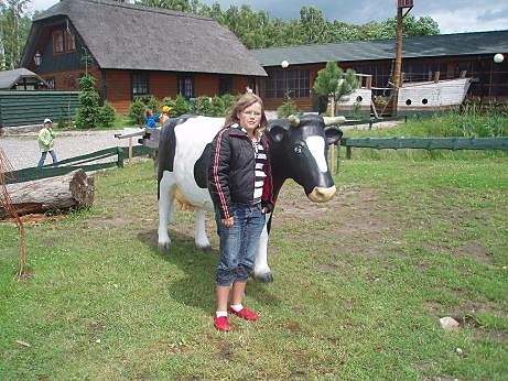 z krowa 