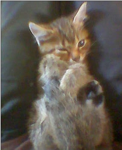 Harry :D:D