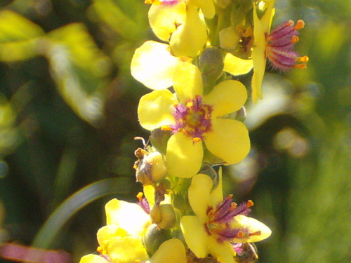 Lato 2006 / Szczyty
