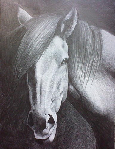 kolejny portret