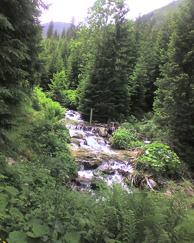 widok
