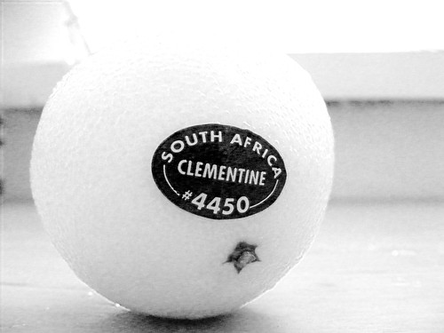 south africa clementine