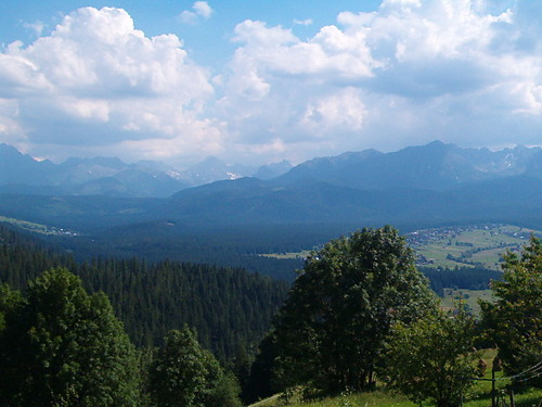 Stoowe 