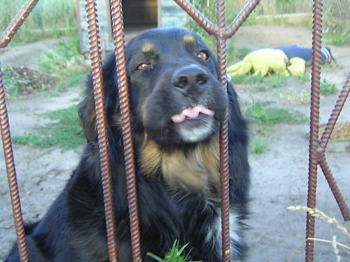 a oto i..............