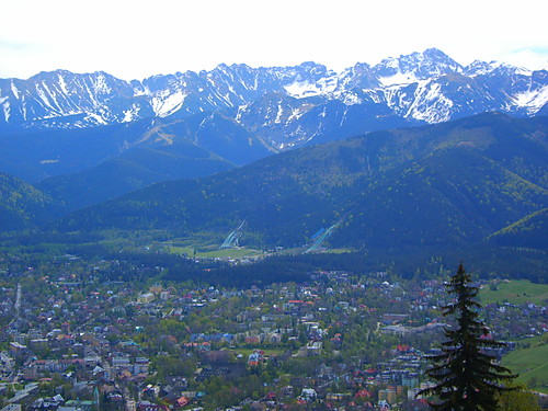 Zielona Szkoa