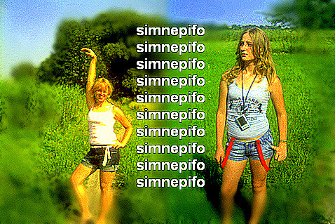 Wpis simnepifo