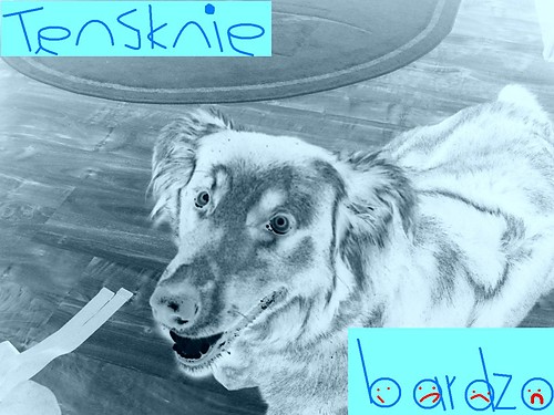 TESKNIE!!!!!!!!!!!!!!!!;(;(;(;(