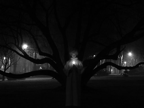 Park 1