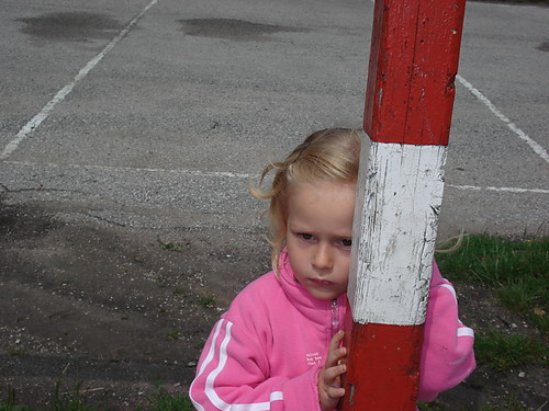 MAJA::P:P