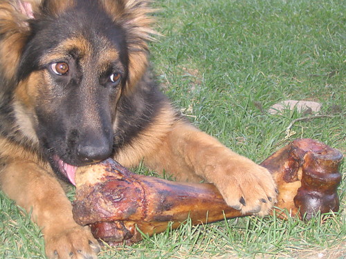 BIG BONe 2 xD
