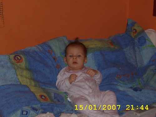Wpis yoldi