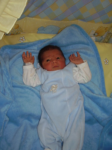 morel junior