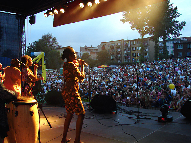 Dni Chemy 2007