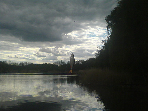 rybka:)