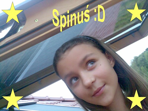 Wpis spina