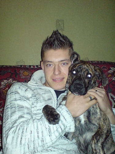 Wpis lalus19