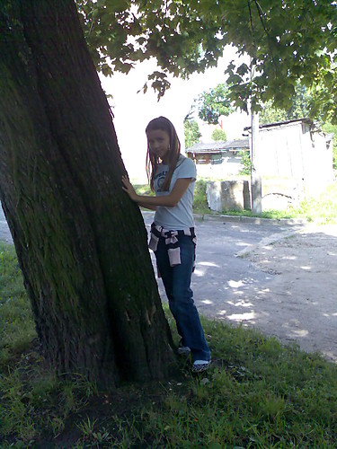 Wpis spina