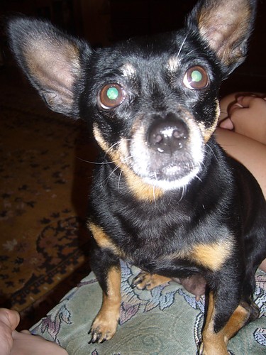 Tinaa
