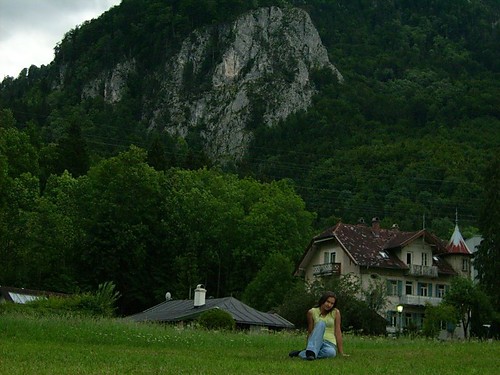 .Alpy.