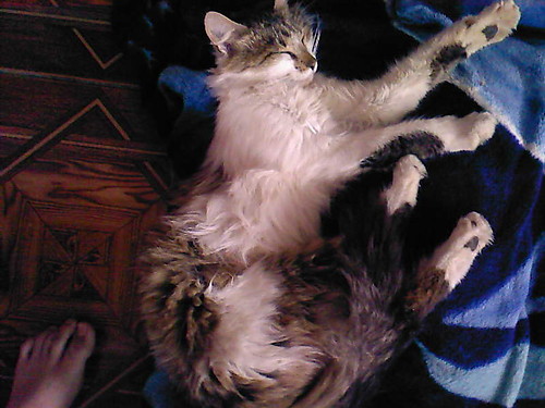 Wpis patia94