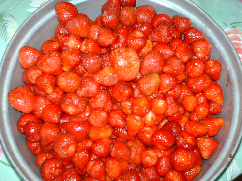 Truskawki
