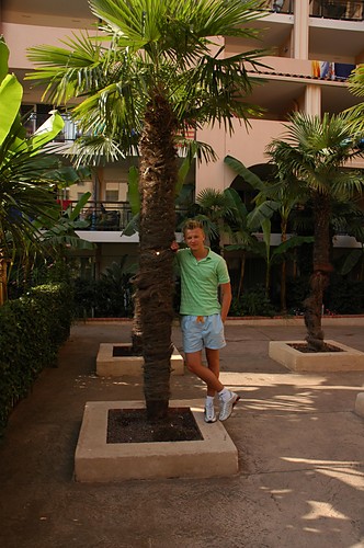 Obz Cannes