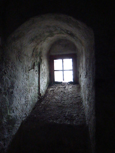 w murach uczu