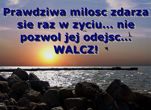 Wpis sylwiaa1992