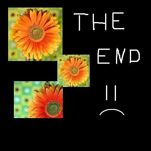 The End