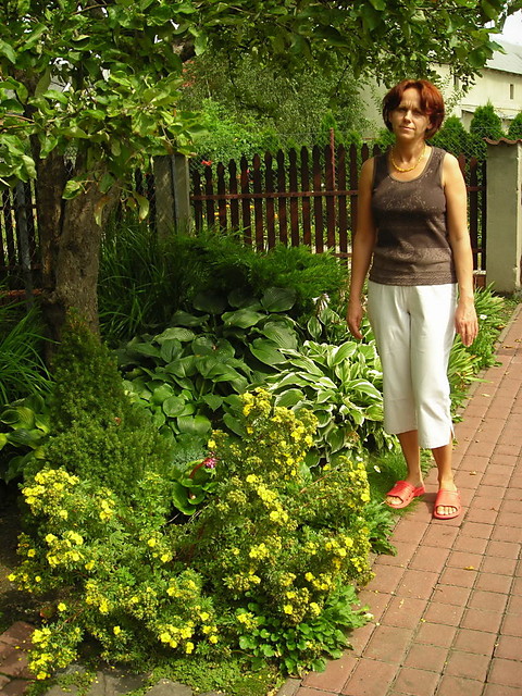Wpis hanna170365