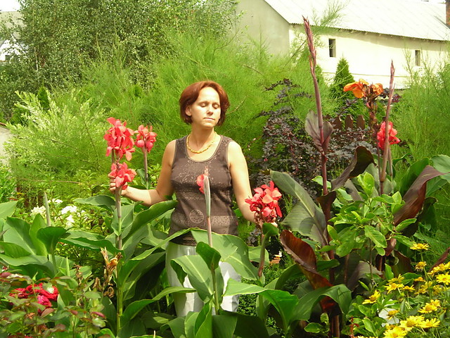 Wpis hanna170365
