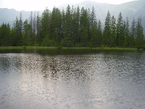 Jeziorko 2007