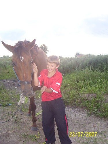 Znowu z koniem