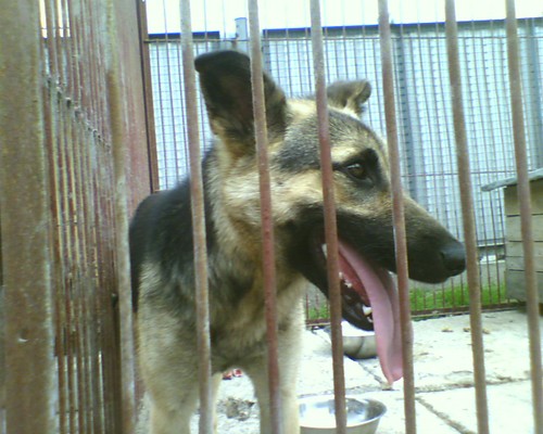 Basia ;)