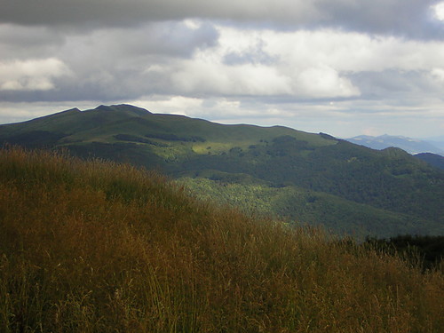 biesy & czady