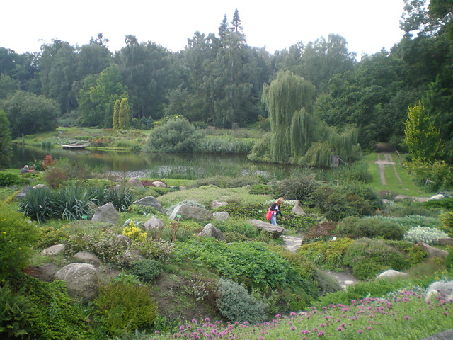 Ogrd Dendrologiczny(Przelewice)