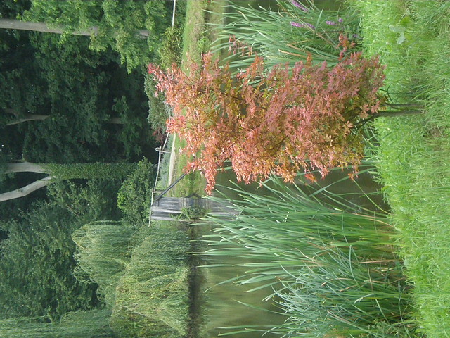 Ogrd Dendrologiczny 