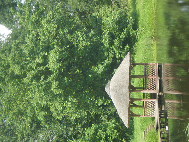 Ogrd Dendrologiczny 