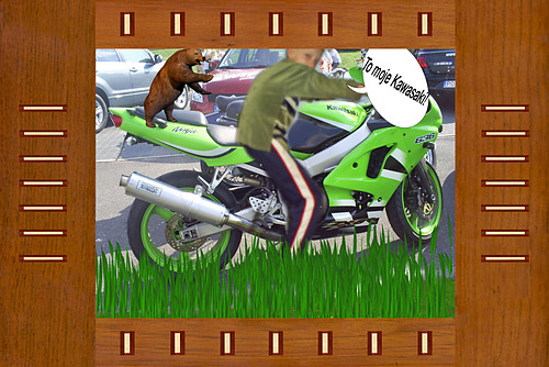 :::..Kawasaki Marcina..:::