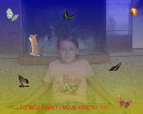 $$$wiat i motylki