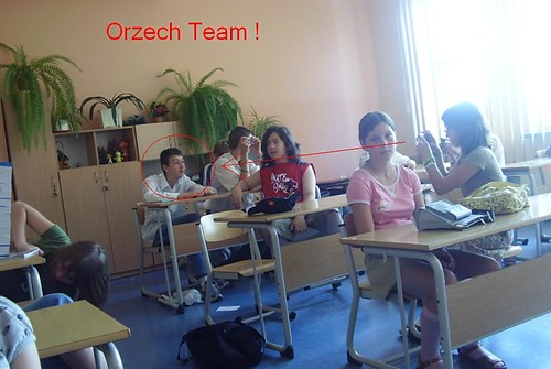 Orzech Team . !